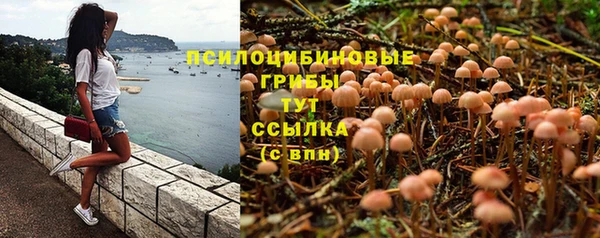 амф Баксан