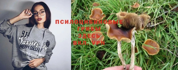 мдпв Балабаново