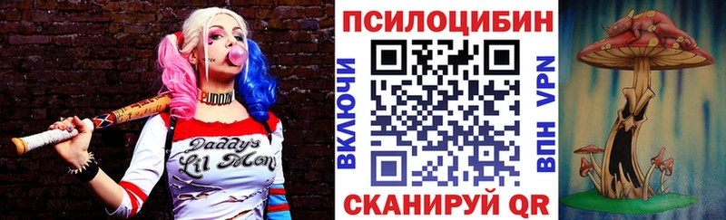 Псилоцибиновые грибы GOLDEN TEACHER  Куртамыш 